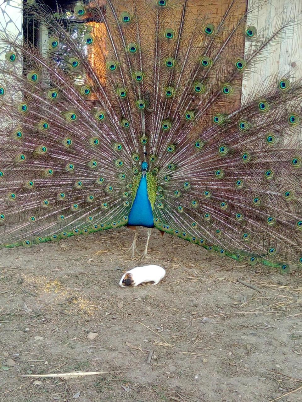 Il Vivaio Βίλα Tarquinia Εξωτερικό φωτογραφία